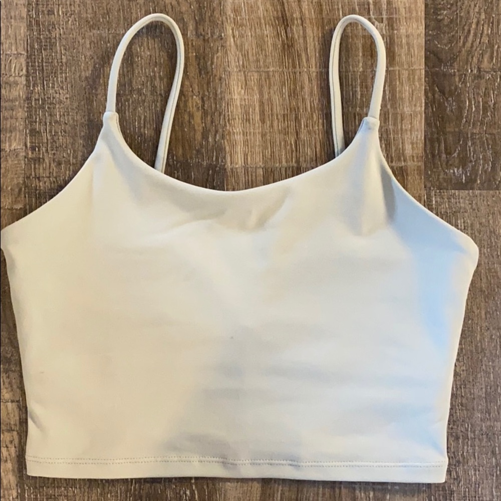 Paragon Sierra Crop